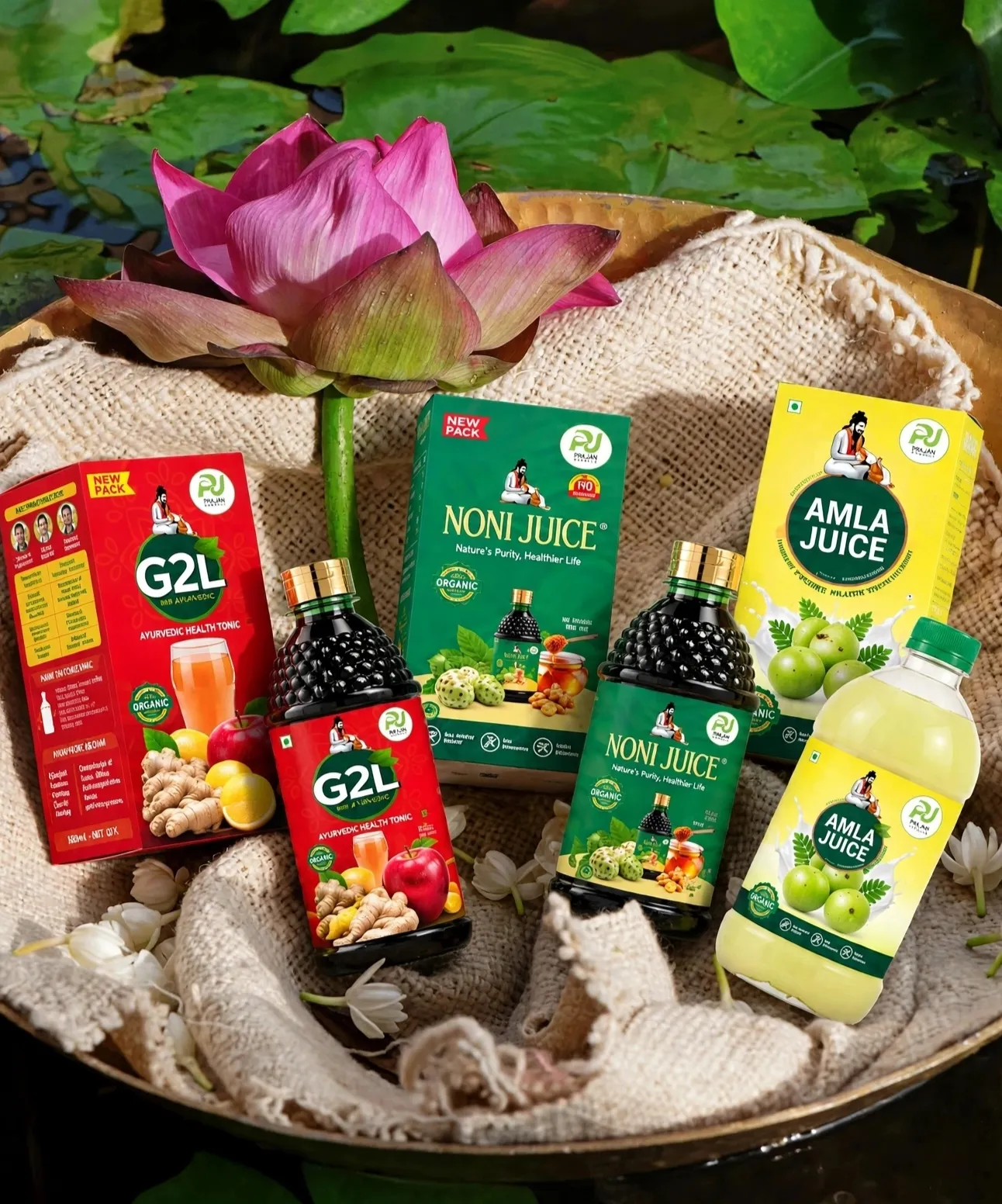 Natural herbal ingredients used in Prajan Herbals juices